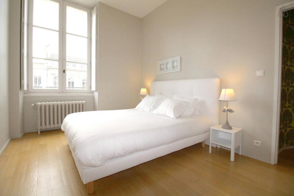 Appartements En Hyper Centre - Jardin Public Bordeaux Bagian luar foto